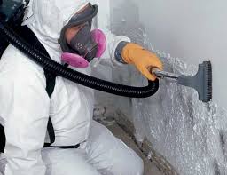 Best Biohazard Mold Removal in Barnesville, OH